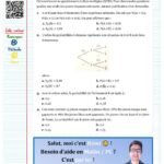 Exercice probabilité conditionnelle 1ere