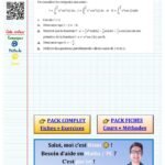 Integrale exercice terminale