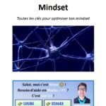 Optimisation du Mindset