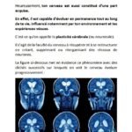 Ebook_Optimisation_Mindset_2