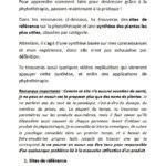 ebook_phytotherapie_1