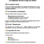 2_comment_ton_corps_reagit_au_stress