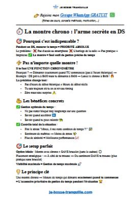 L'accessoire le plus important en DS